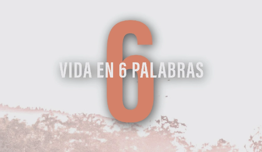 Vida en 6 Palabras